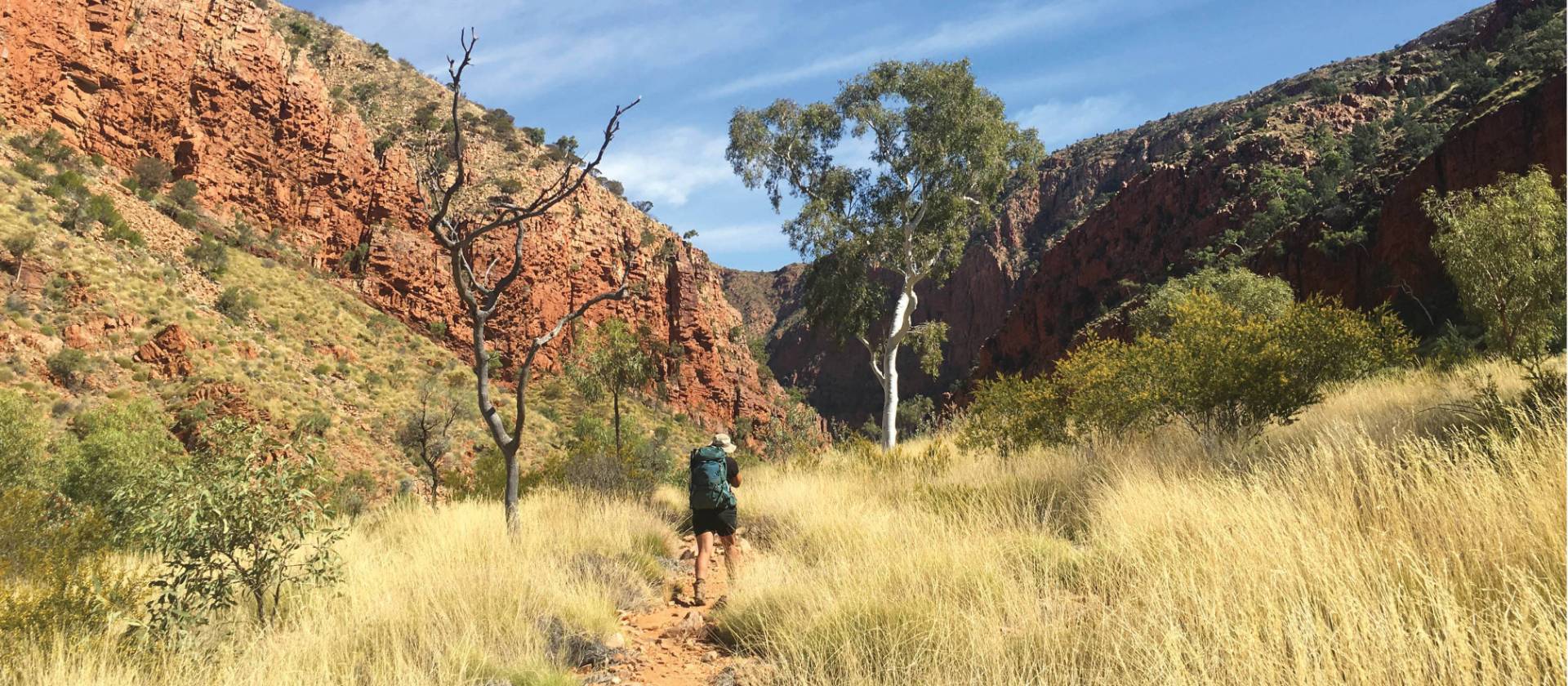 Central Australia Indigenous Learning & Larapinta Trek